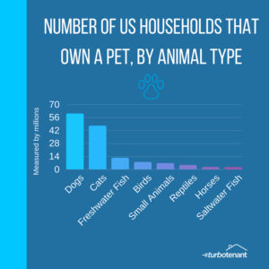 Pet Fees, Pet Rent, & What You Need To Know About Pet Policies