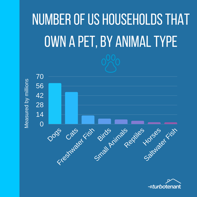 pet infographic about pets in rental properties