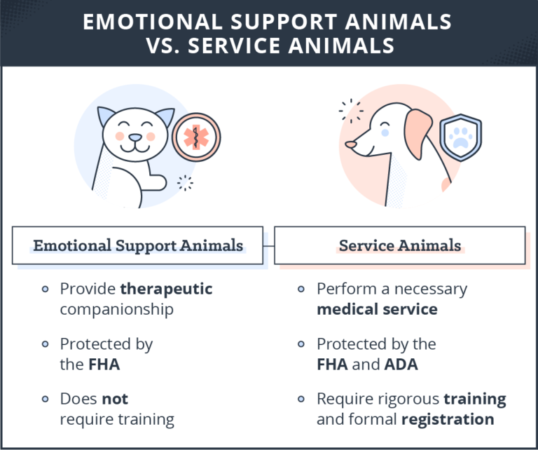 California Emotional Support Animal Laws 2025 - Emmy Norrie