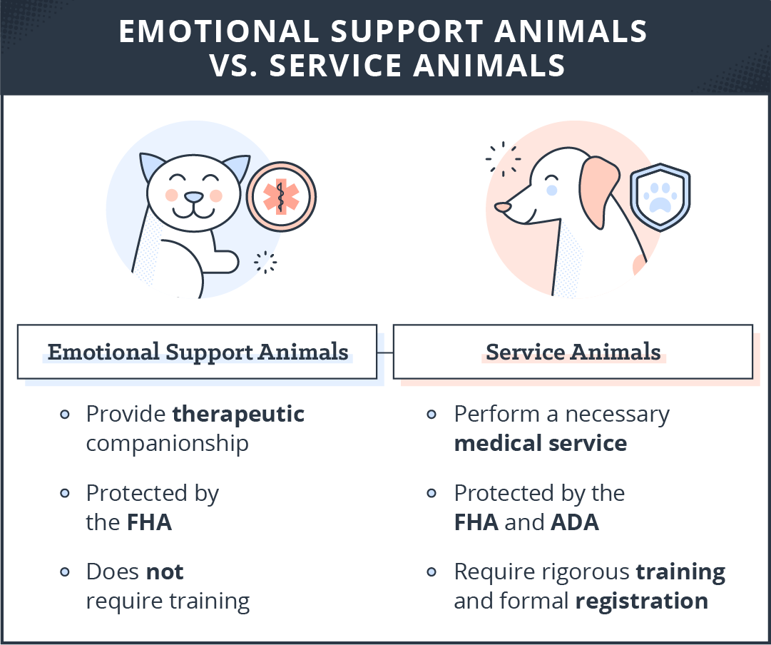 Emotional Support Animal Laws for Rentals: What You Need to Know