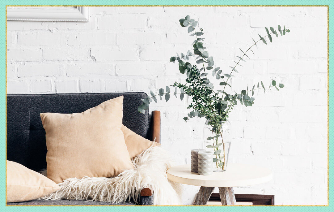 15 Winter Indoor Plants for a Happy Home | TurboTenant