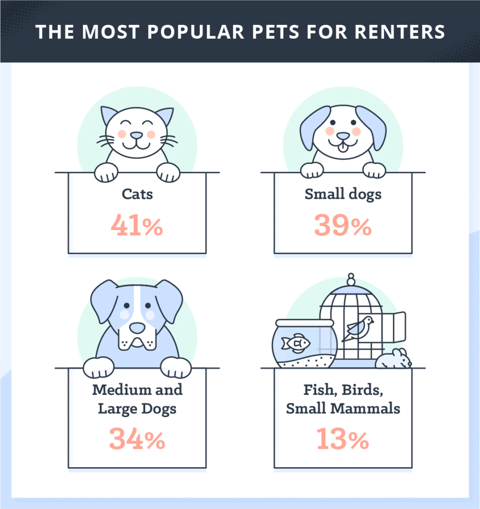 The Pet Deposit: What Landlords Should Know | TurboTenant