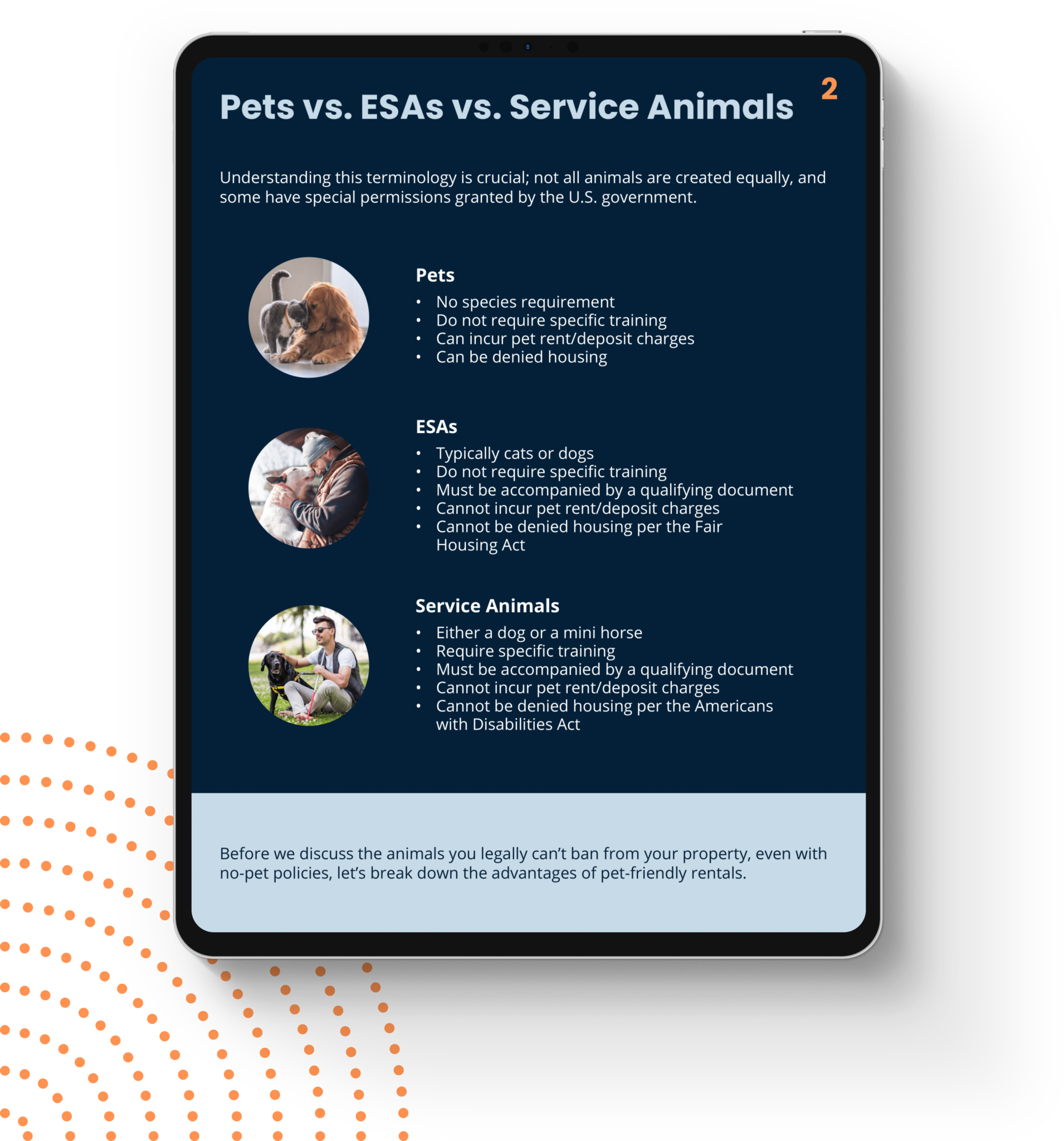 Ebook Page Example Animals